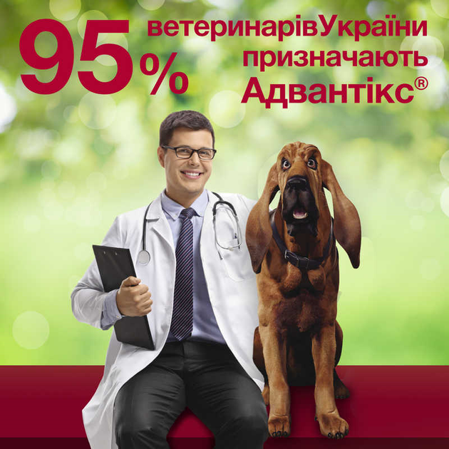 Капли для собак от блох и клещей Bayer Elanco Advantix на 10-25 кг 4 пипетки по 2.5 мл (54167) - изображение 4