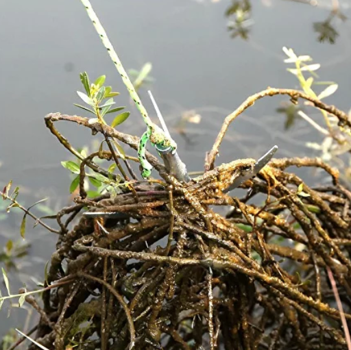 Крюк кішка для чищення водоростей, в комплект входить міцна 10-метрова мотузка - Фото 4 Крюк кішка для чищення водоростей, в комплект входить міцна 10-метрова мотузка - зображення 4