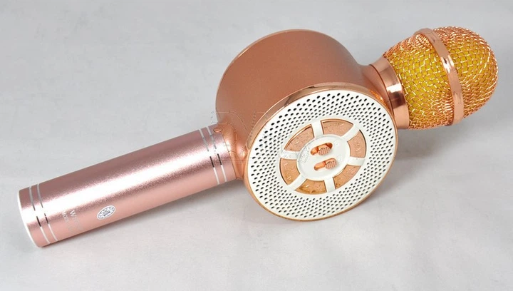 Детский караоке микрофон Bluetooth WSTER WS669 с динамиком и колонкой беспроводной микрофон Розовый - Фото 10 Детский караоке микрофон Bluetooth WSTER WS669 с динамиком и колонкой беспроводной микрофон Розовый - изображение 10