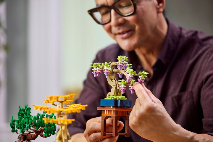 Zestaw klocków LEGO Botanicals Małe drzewka Bonsai 709 elementów (10373) - obraz 15