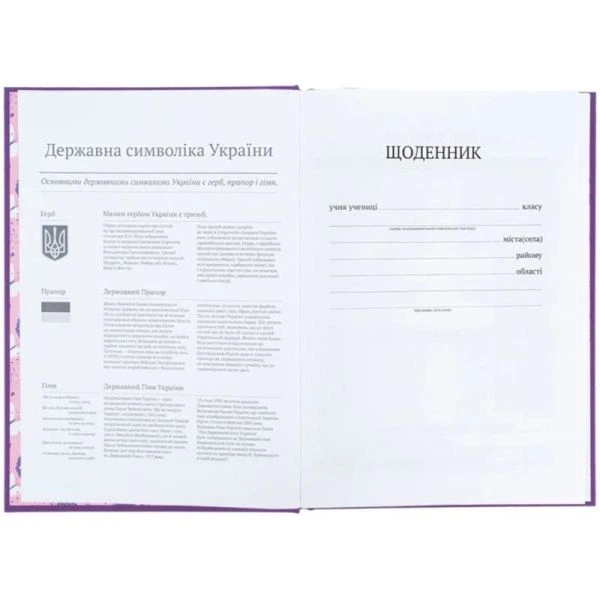 Щоденник шкільний, тверда обкладинка Superstar K25-262-2 - изображение 2