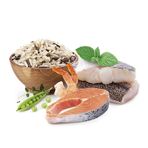 Гипоаллергенный сухой корм HOME FOOD для взрослых собак средних пород "Форель с рисом" Hypoallergenic 1.6 кг - изображение 3