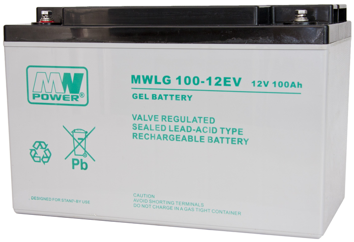 Акумуляторна батарея MW Power VRLA GEL MWLG 100-12EV 12V 100Ah (5902135116937) - зображення 1