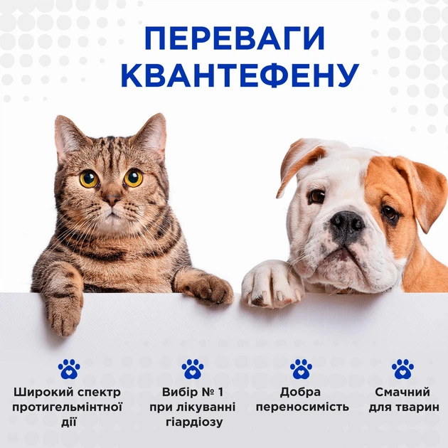 Квантефен (Kvantefen) антигельмінтні таблетки для собак та котів 1 таб на 10кг (4 табл.), MODES (від бліх, від кліщів, від гельмінтів) - зображення 4