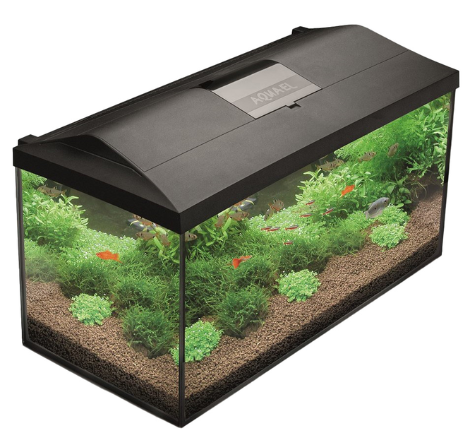 Акваріумний набір Aquael Leddy 75 BIOFS D&N 2.0 105 L Black (5905546333306) - зображення 1