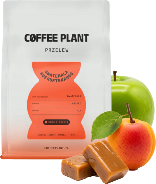 Kawa ziarnista Coffee Plant Gwatemala Huehuetenango Filter 250 g (5904800242194) - obraz 3