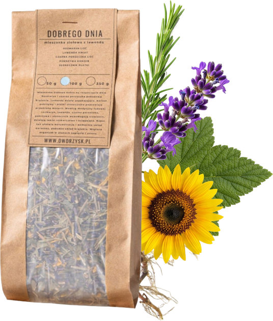 Herbata sypana Dworzysk Dobrego Dnia 100 g (5901122626183) - obraz 2