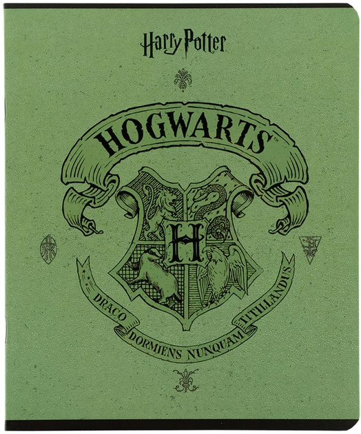 Набір шкільних зошитів Kite Harry Potter 24 аркуші у лінію 20 шт (HP25-239) - зображення 9