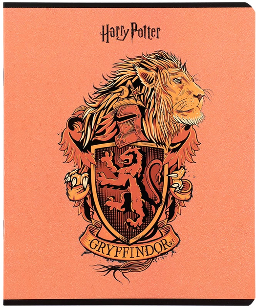 Набір шкільних зошитів Kite Harry Potter 24 аркуші у лінію 20 шт (HP25-239) - зображення 11