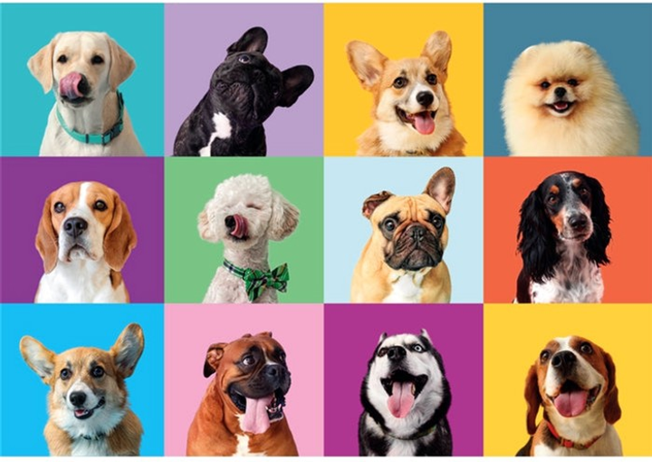 Puzzle Clementoni Super Funny Faces 300 elementów 21739 (8005125217397) - obraz 2
