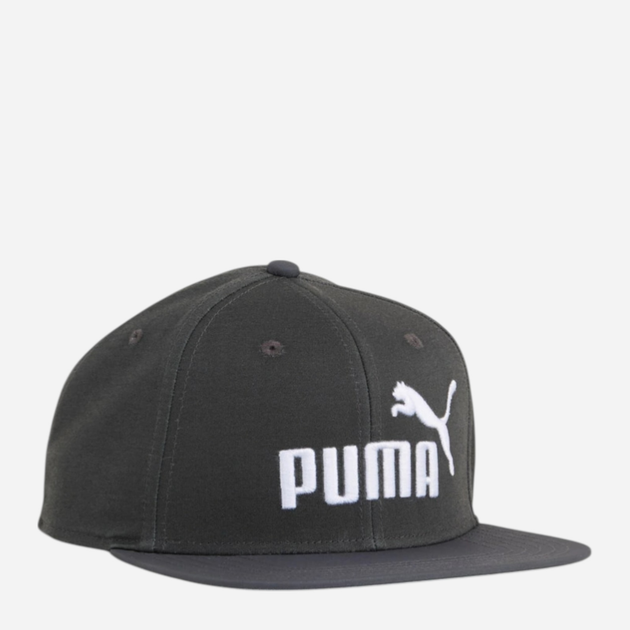Czapka z daszkiem Puma Ess No 1 Logo Flat Brim Cap 2599203 One Size Szara (4069157712378) - obraz 1