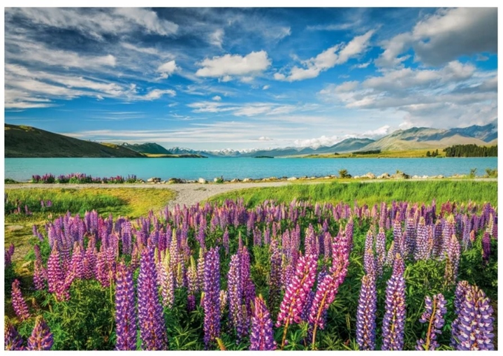 Пазл Clementoni High Quality Lupins at Lake Tekapo 1500 елементів 31731 (8005125317318 / 8005125317288) - зображення 2