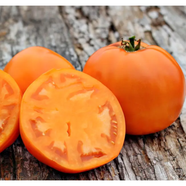 Томат Солидо F1 10 шт Lark Seeds (США) - Фото 2 Томат Солидо F1 10 шт Lark Seeds (США) - изображение 2