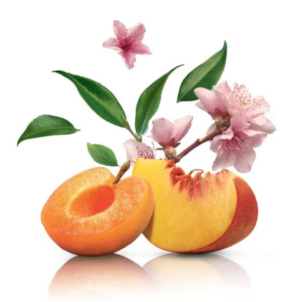 Чай в капсулах для кавоварок Dolce Gusto "Peach & Apricot Dream" 10 капсул (потрібен адаптер) - изображение 3