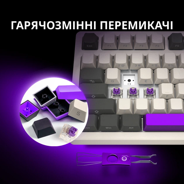 Игровая клавиатура Lorgar KBP70TKLW Wireless TKL Mechanical Pro Beige (LRG-KBP70TKLW-RT-US) - Фото 15 Игровая клавиатура Lorgar KBP70TKLW Wireless TKL Mechanical Pro Beige (LRG-KBP70TKLW-RT-US) - изображение 15