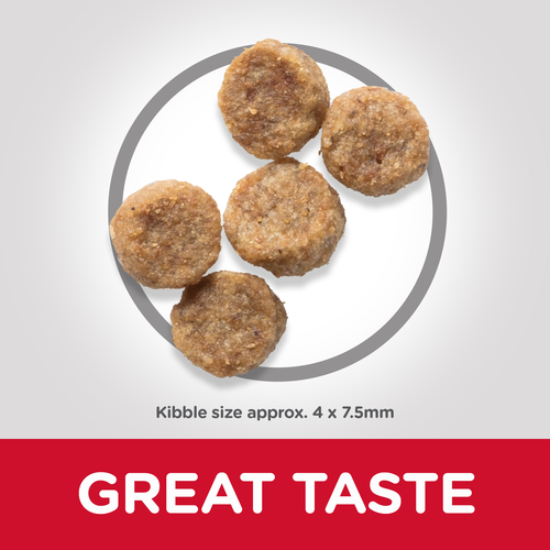 Сухой корм для собак Hills Science Plan Canine Mature Adult Small Mini Chicken Курица для маленьких пород от 7 лет 6 кг - Фото 2 Сухой корм для собак Hills Science Plan Canine Mature Adult Small Mini Chicken Курица для маленьких пород от 7 лет 6 кг - изображение 2