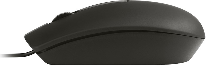 Mysz Tracer Offi USB Black (TRAMYS47433) - obraz 4