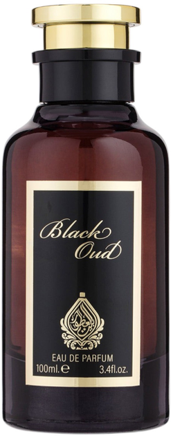 Парфумована вода унісекс House of Perfumes Black Oud 100 мл (6290302350543) - зображення 1