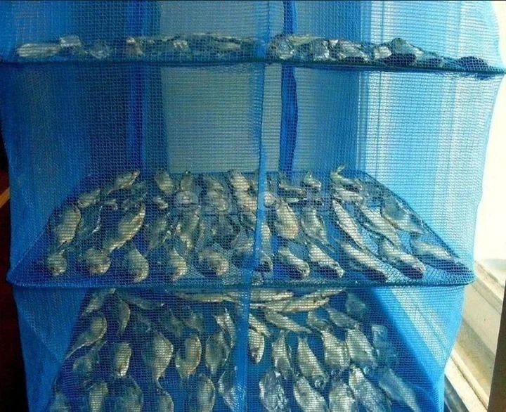 Сетка для сушки рыбы 5 ярусов 50х50х98см - изображение 4