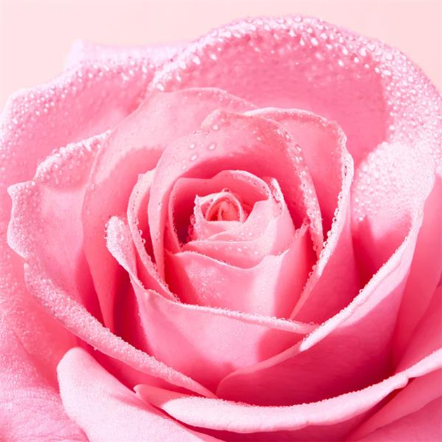 Lotion do twarzy Nuxe Very Rose tonizujący 200 ml (3264680043376) - obraz 3
