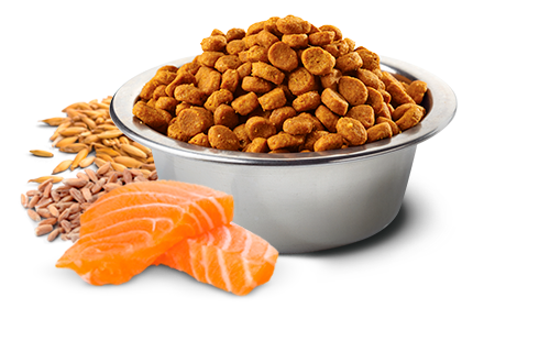 Сухий корм Farmina (Фарміна) Dog Low Grain Salmon & Tropical Fruits Adult Mini для дорослих собак дрібних порід з лососем та тропічними фруктами 1.5 кг (арт 183866) - зображення 2