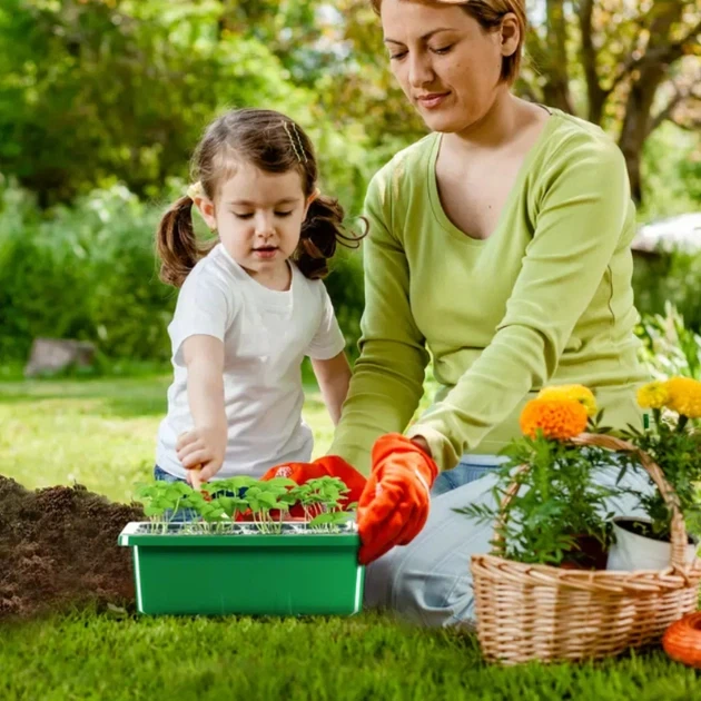 Мини-парник на 12 секций для рассады с регулятором влажности 6х18х14 см - изображение 7