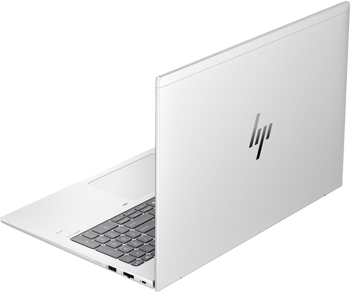 Laptop HP EliteBook 665 G11 (A38DBET) Pike Silver - obraz 4