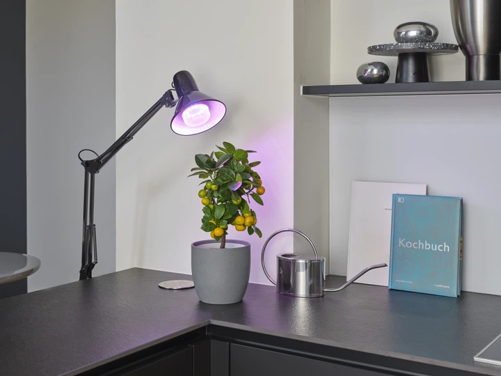 Світлодіодна лампа Ledvance LED T80 GROW 20Вт 230В CL E27 4058075845800 - зображення 3