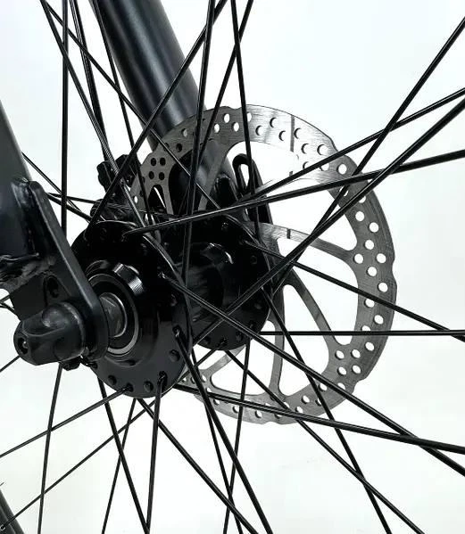 Электровелосипед DYNA 27,5" (750W 48V 18Ah) Серый серебро - изображение 3