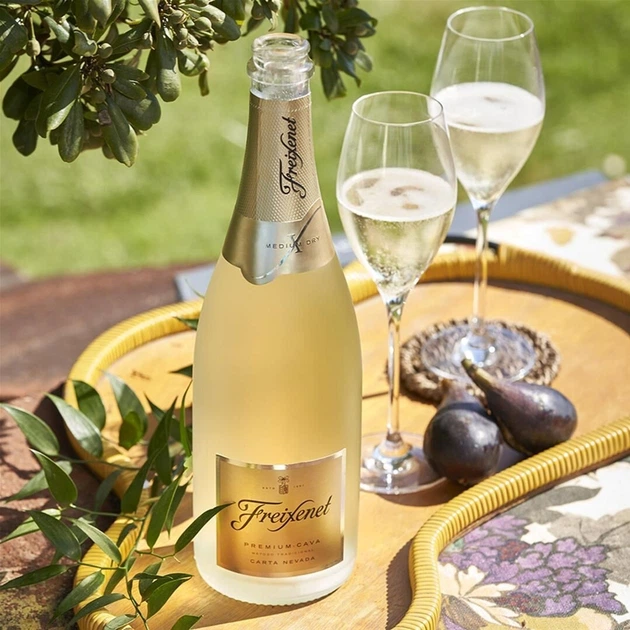 Вино игристое Freixenet Carta Nevada Premium Cava Medium Dry белое полусухое 1.5 л 11.5% (8410036002916) - Фото 10 Вино игристое Freixenet Carta Nevada Premium Cava Medium Dry белое полусухое 1.5 л 11.5% (8410036002916) - изображение 10