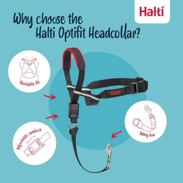Недоуздок для собак Company of Animals Halti OptiFit размер Medium