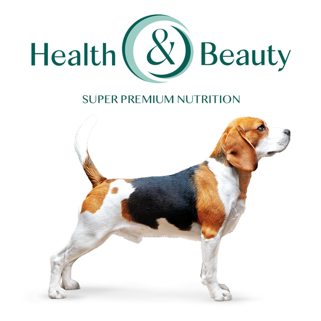 Сухой корм для собак средних пород Оптимил с индейкой OPTIMEAL for adult dogs medium breeds turkey 12 кг. - изображение 2