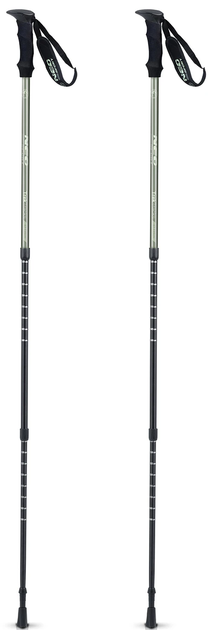 Трекінгові палиці Neo Sport NS-381 (5903890621773) - зображення 2