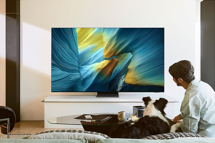 Telewizor Samsung OLED 65" QE65S95FATXXH - obraz 5