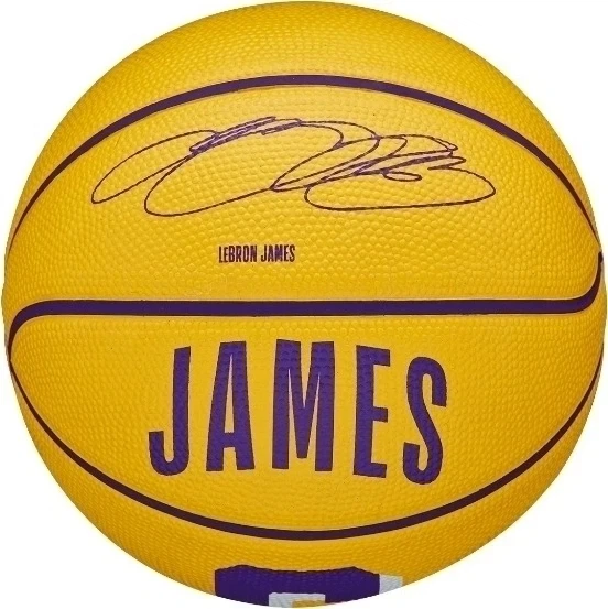 Баскетбольный мяч Wilson NBA PLAYER ICON MINI LEBRON JAMES желто-фиолетовый WZ4007201XB3 Размер EU: 3 - изображение 2