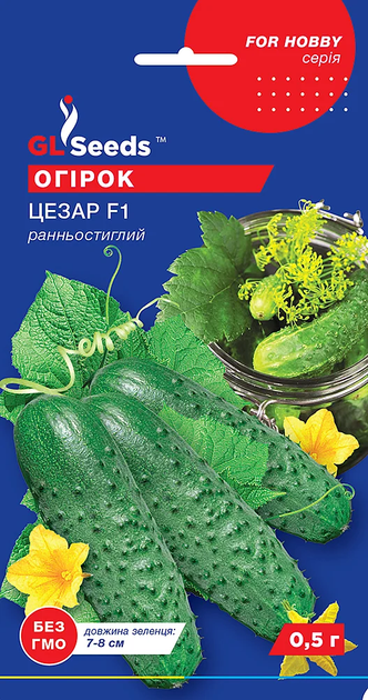 Огірок Цезар F1 3 р. - Фото 1 Огірок Цезар F1 3 р. - зображення 1