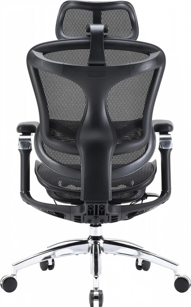 Крісло офісне SIHOO DORO C300 Pro Mesh Black (DORO-C300-PRO-M101) - зображення 2
