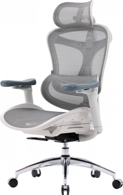 Fotel biurowy SIHOO DORO C300L Mesh White (DORO-C300L-A3-102) - obraz 4