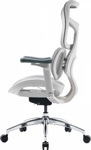 Fotel biurowy SIHOO DORO S100 Mesh White (S100-M302) - obraz 4