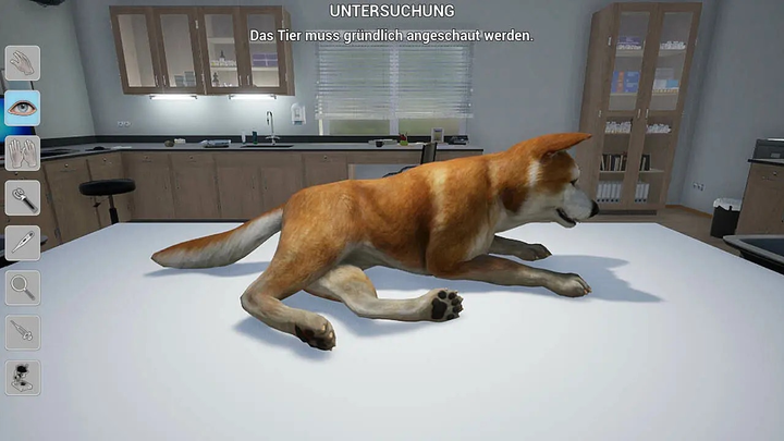 Gra PS4 My Life: Pet Vet (Blu-ray płyta) (8720254990897) - obraz 7