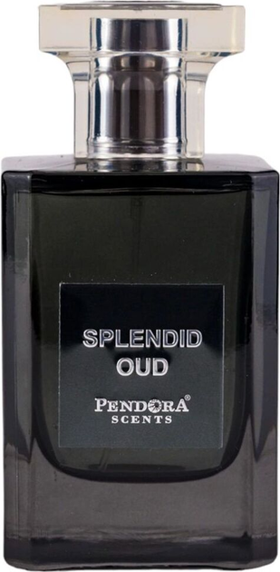 Woda perfumowana męska Paris Corner Pendora Scents Splendid Oud 100 ml (6423080822432) - obraz 2
