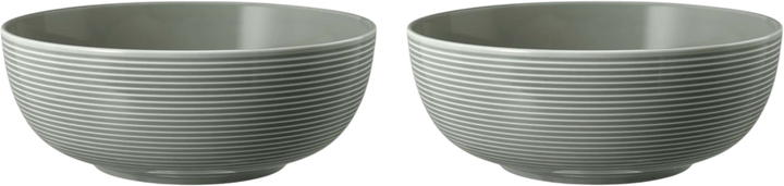 Набір мисок Seltmann Weiden Beat Color Glaze сірий 20 см 2 шт (ZES4052212109411) - зображення 1