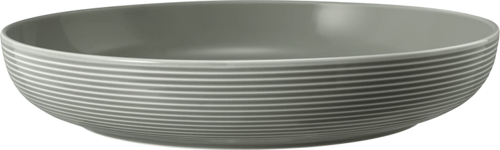 Набір мисок Seltmann Weiden Beat Color Glaze сірий 28 см 2 шт (ZES4052212109435) - зображення 2