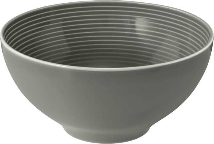 Набір мисок Seltmann Weiden Beat Color Glaze круглих сірий 15.5 см 2 шт (ZES4052212090320) - зображення 3