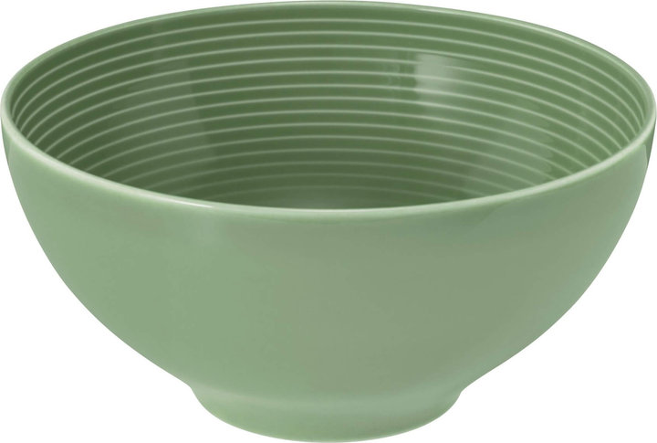 Набір мисок Seltmann Weiden Beat Color Glaze круглих зелений 15.5 см 2 шт (ZES4052212090405) - зображення 3