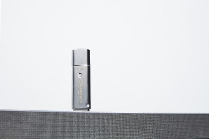 Pendrive Kingston Ironkey Locker+ 50 256GB USB 3.2 Silver (IKLP50/256GB) - obraz 6