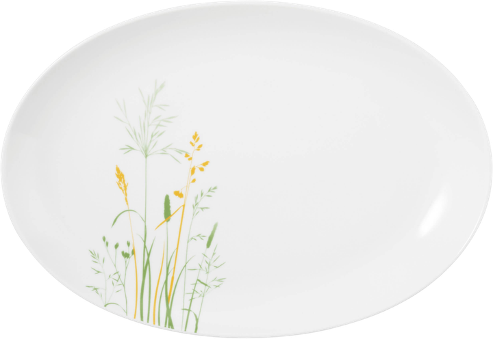 Блюдо Seltmann Weiden Meadow Grasses Green овальне 35 x 24 см (4052212127538) - зображення 1