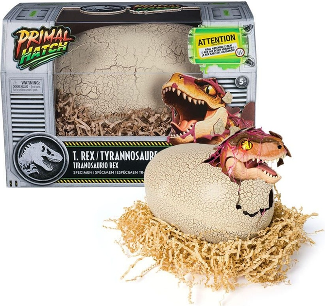 Zabawka interaktywna Spin Master Primal Hatch Wykluwający się dinozaur (681147057821) - obraz 2
