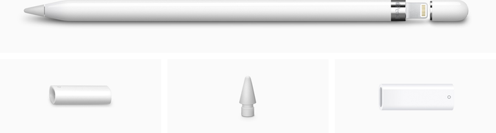 Rysik Apple Pencil (1st Generation) (MYQW3ZM/A) - obraz 5