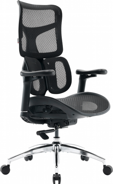 Крісло офісне SIHOO DORO S100 Mesh Black (S100-M301) - зображення 6